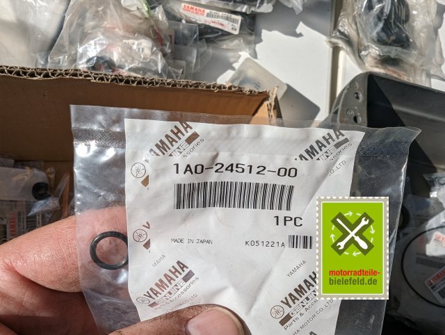 PXL_20240528_153606079